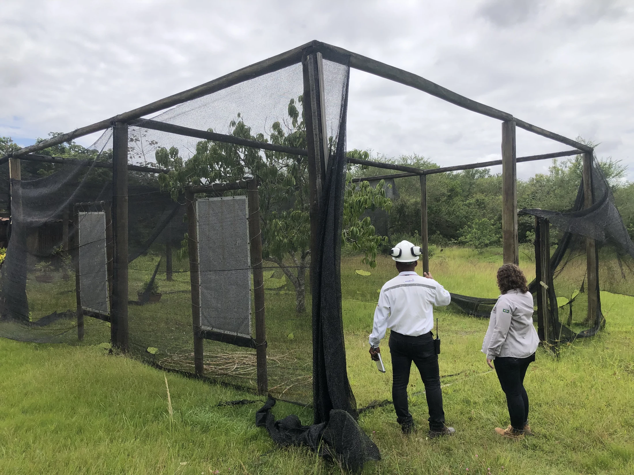 Visita técnica junto à estrutura de tela e à vegetação do Projeto Florescer