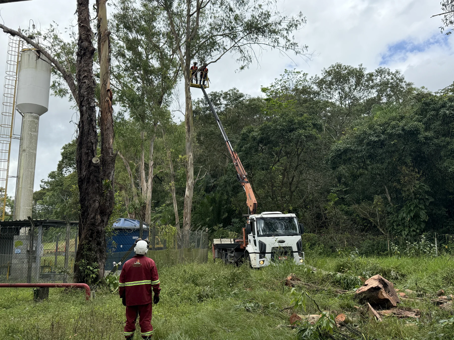 Atividade de manejo arbóreo em ambiente industrial.