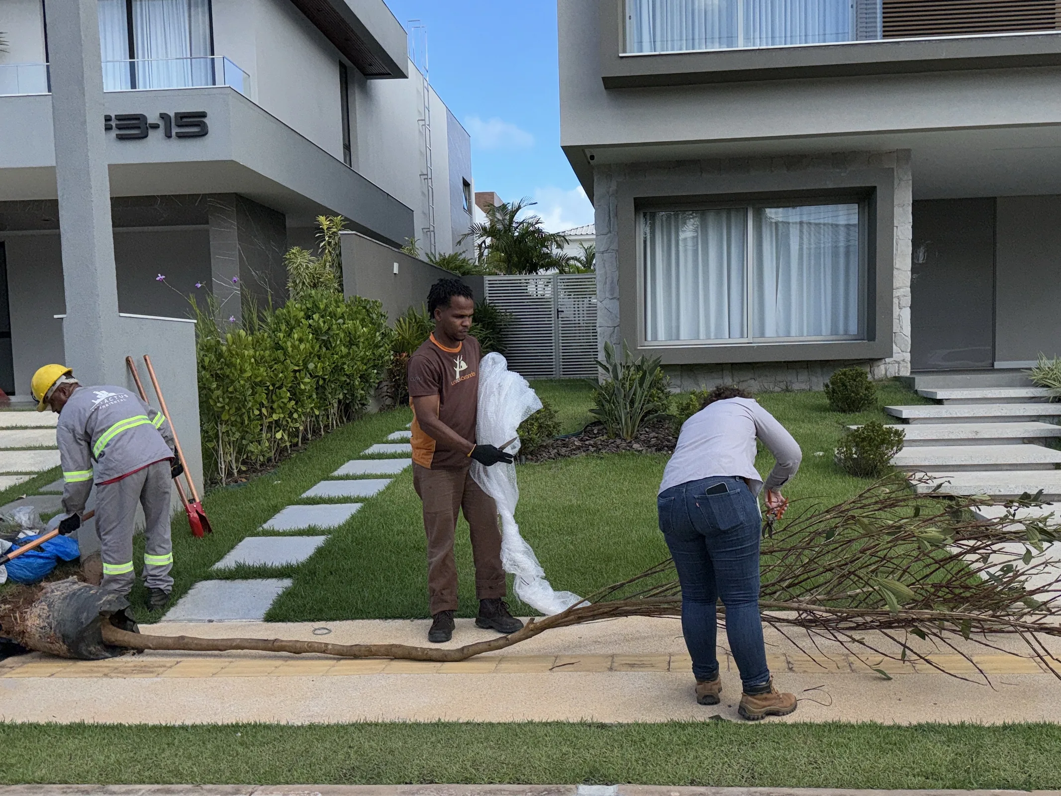 Equipe realizando implantação de árvore em jardim residencial