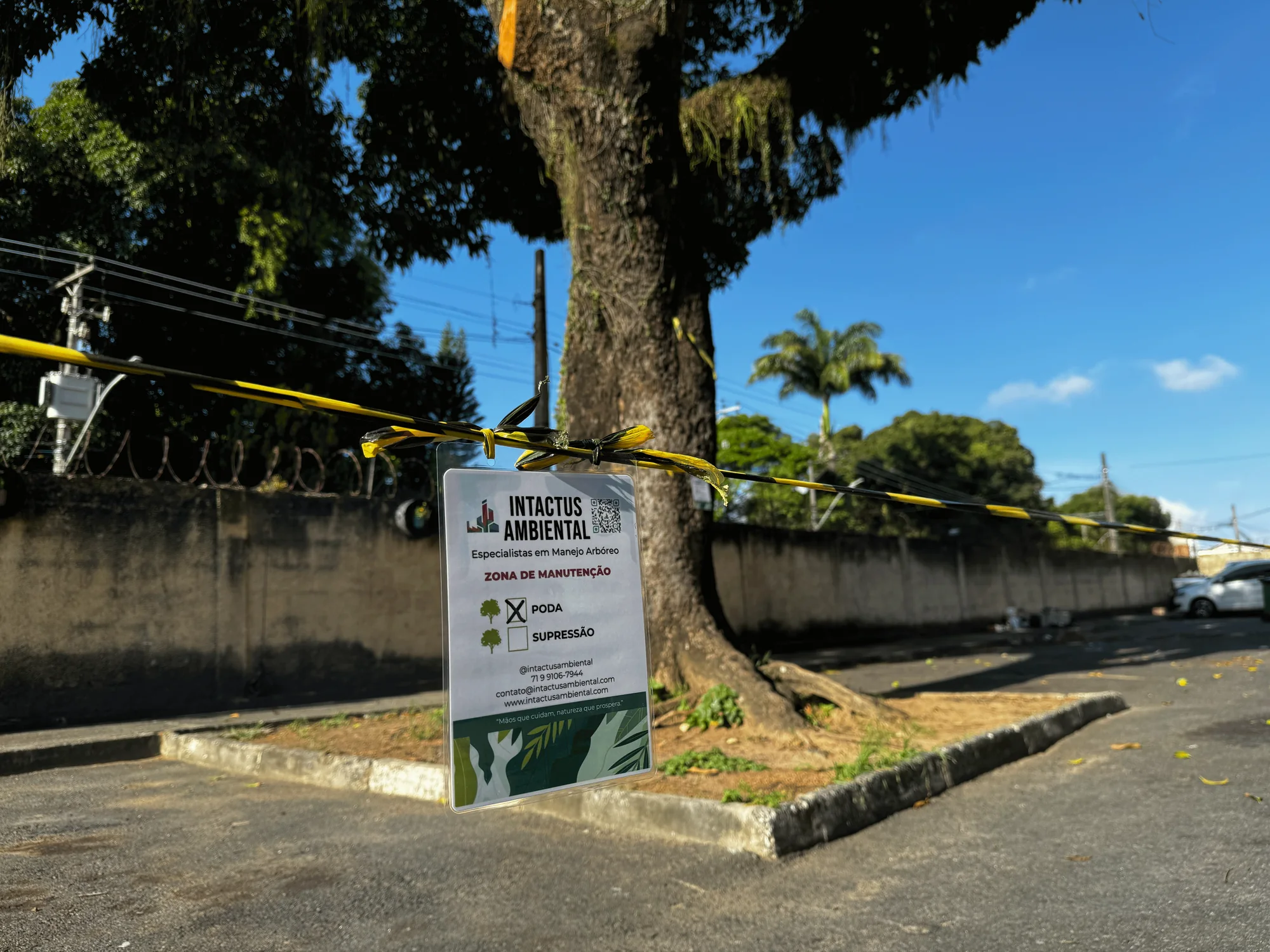 Sinalização de manutenção arbórea junto a uma árvore no Parque dos Bandeirantes, em Salvador.