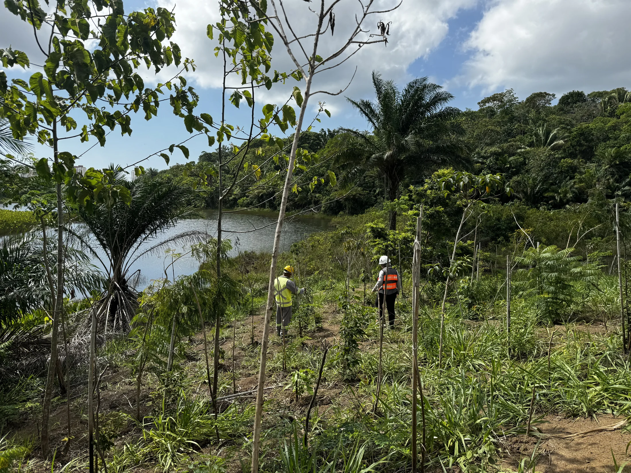 Vista da área de plantio com a equipe junto ao corpo d’água