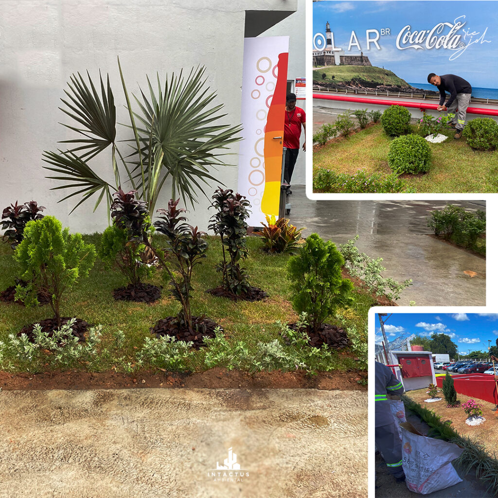 Serviços Profissionais de Jardinagem da Intactus Ambiental - Coca-Cola
